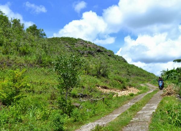 Watu Kodok Pantai Di Gunung Kidul Jogja